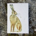 Growable Greeting Cards - Image 11